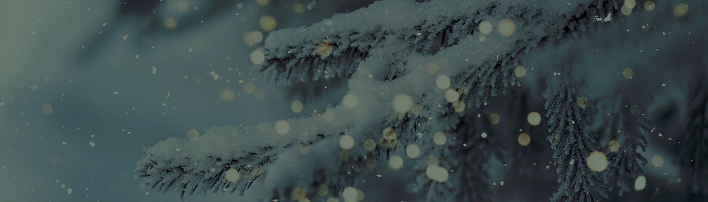 The Winter Wonderland Package