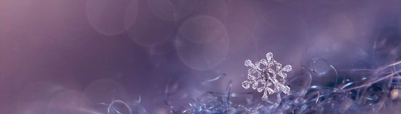 The Snowflake Soiree Package